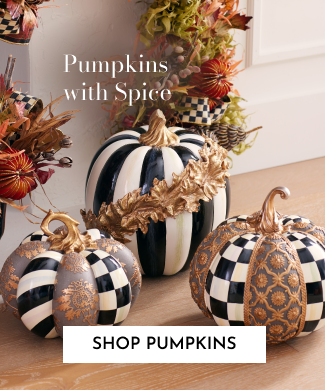 Pumpkins with Spice. Shop Pumpkins!